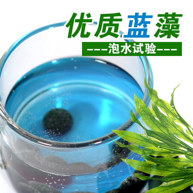 3送1益友牌螺旋藻片1000粒/ 2000 康立特医疗器械螺旋藻/藻类提取物