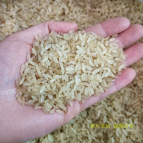 Hakka Lemon 10 фунтов Мейчжоу -парированной долины рисовые фермы фермеры Rim португальский рис Fresh Rice Five Wah Tu Special Products