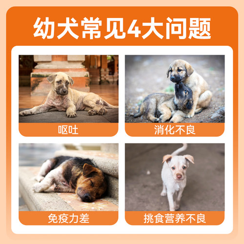 力狼狗粮1-6月幼犬专用泰迪金毛拉布拉多柯基比熊奶糕通用型3斤装 - 图0