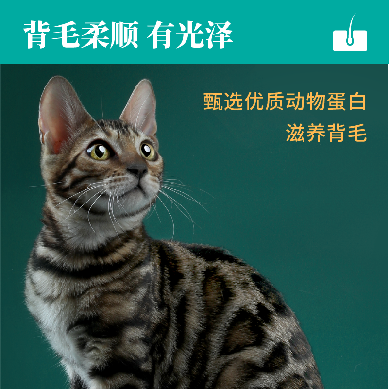 力狼猫粮全价成猫增肥发腮幼猫粮 力狼猫主粮