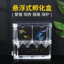 Peacock Fish Breeding Box Fish Tank Isolated Box Bucket Fish Size Spawning Incubation House Small Fish Fry Young Big Fish Incubators