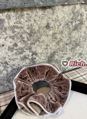 【实拍】进口金丝绒~高级感韩国订单货小众洋气时髦马尾头绳发圈