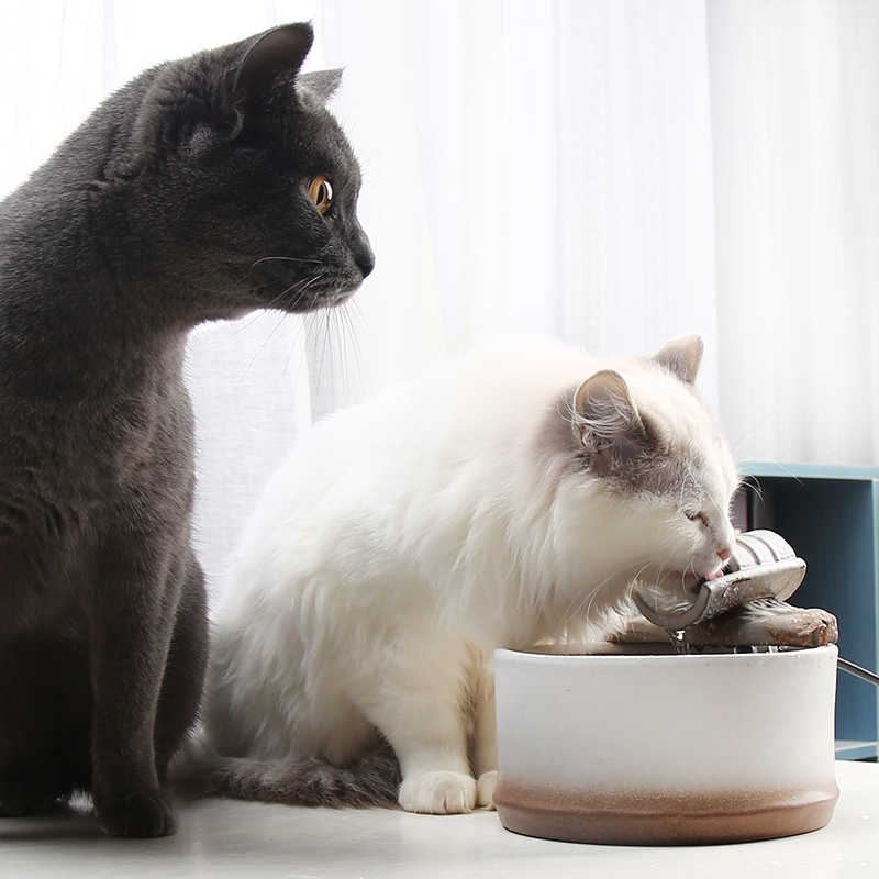 宠物饮水器猫咪自动饮水机循环加热猫狗喝水神器猫碗双碗自动饮水 - 图2