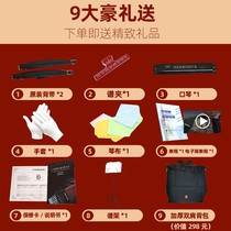 Parrot accordion 8 32 48 60 96120 96120 three four rows of spring key accordion beginology