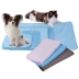Pet dog mat băng lụa pad mèo mát pad mùa hè làm mát thoáng khí gãi cắn cắn mềm ngủ lạnh - Cat / Dog hàng ngày Neccessities