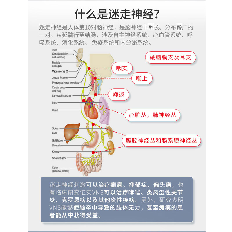 瑞神安耳迷走神经刺激仪失眠治疗睡眠焦虑缓解微电流器非ces - 图2