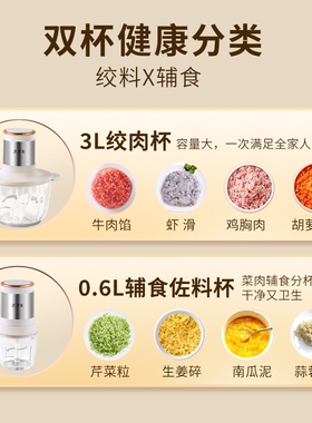 wahson/华生家用搅拌双杯双刀绞