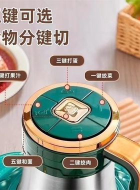 5L大容量6叶刀电动绞肉机家用不