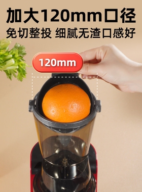 金正榨汁机原汁机商用多功能果蔬