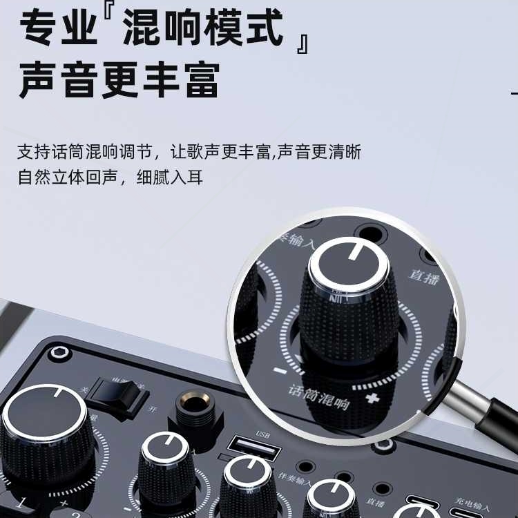 山水G205蓝牙音响户外大音量广场歌话筒舞新款手提音箱直播声卡K - 图2