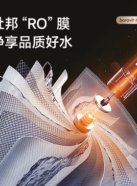 BORAVIT博拉维净直饮水机家用即