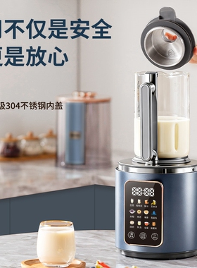 德国德森朗破壁机家用全自动静音