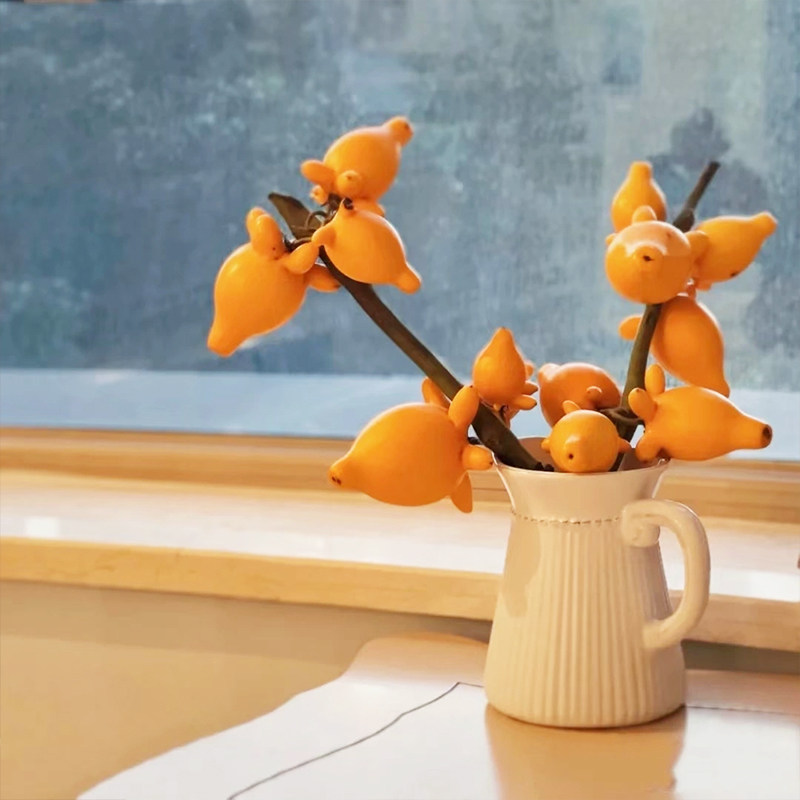 五代同堂黄金果鲜花云南基地直发五袋果福禄果五代果新鲜插花乳茄,淘宝优惠券,粉丝福利购,淘宝优惠卷