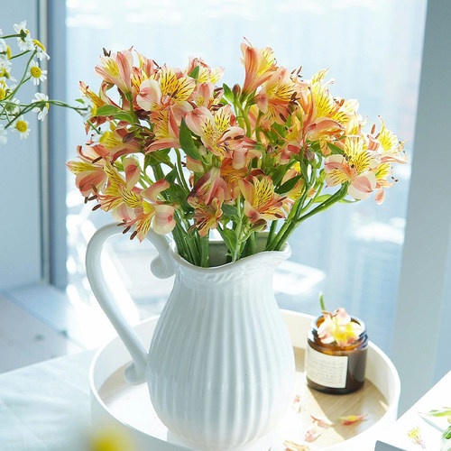 花然严品水仙百合鲜花云南直发鲜切花六出花粉色家用插花超长花期 - 图0