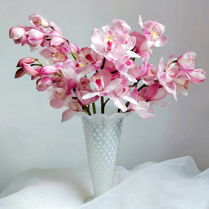 粉色大花蕙兰鲜花云南直发兰花大花惠兰鲜切花插花水培手捧花真花,淘宝优惠券,粉丝福利购,淘宝优惠卷