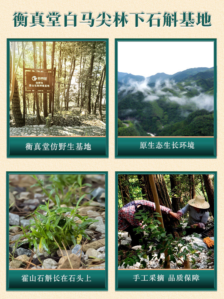 衡真堂正品霍山铁皮500g高端枫斗 衡真堂石斛/枫斗