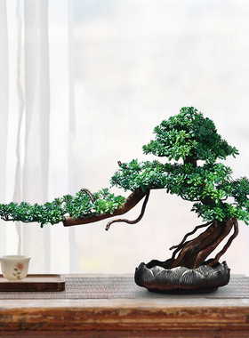 新中式松树仿真盆景罗汉松摆件玄关桌客厅办公茶室酒店会所装饰品