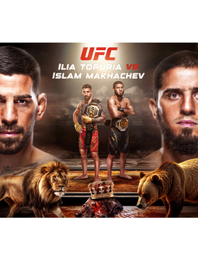 斗牛士MMA拳击自粘墙贴