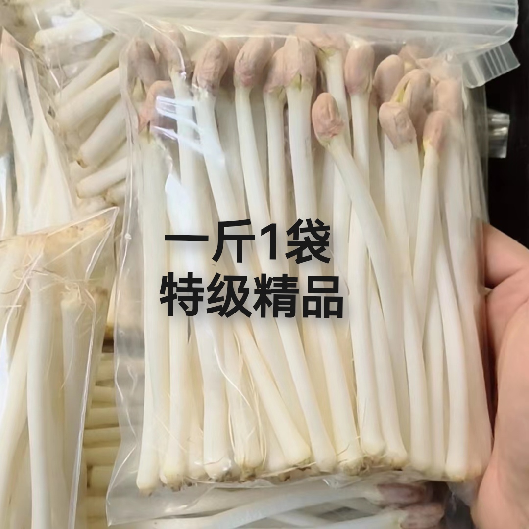 【产地】现摘花生芽苗菜新鲜花生豆芽食用花生苗芽菜饭店商用食材 - 图2