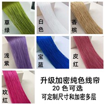 Upgraded version Flow Su encrypted wedding celebration Line curtain Decorative Curtain Partition Exhibition Hall Wedding Venue Arrangement Genguan Curtain door curtain