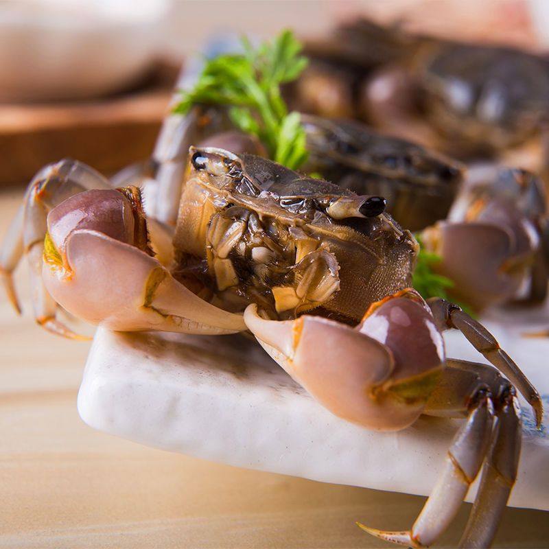 醉蟹白玉蟹生腌小螃蟹发财蟹即食腌制海鲜宁波特产呛蟹醉螃蜞,淘宝优惠券,粉丝福利购,淘宝优惠卷