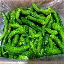 Small cucumber pickles crisp and tender cucumber pickles Zhengzong Artisanal Home Pickle Cucumbers 500g
