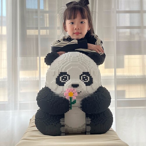 2025新款花花熊猫系列积木拼装玩具儿童益智力拼图男女孩生日礼物 - 图2