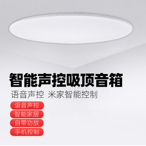 重音版智能吸顶音箱小爱同学控制语音无线wifi喇叭蓝牙音响点歌 - 图2