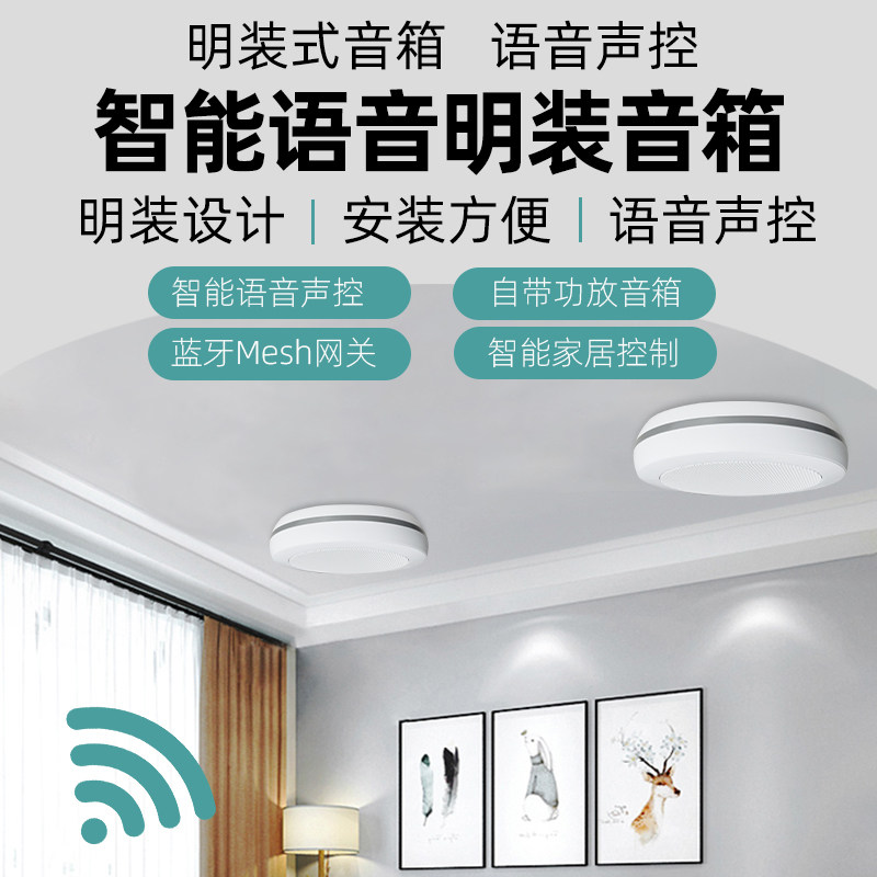 明装智能吸顶音响定制小爱同学语音声控无线蓝牙wifi喇叭家居控制