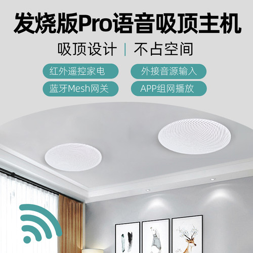 定制发烧版Pro语音吸顶音箱wifi蓝牙音响小爱同学声控智能家居-图0