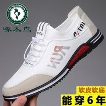 Woodpecker mens shoes fall 2023 new dermis Han version 100 hitch soft bottom breathable mens inside heightening leather shoes mens wave