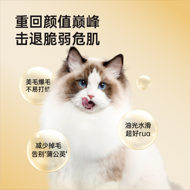 小壳熔岩鱼油膏宠物护肤猫咪专用美毛膏深海高浓度小分子易吸收 - 图0