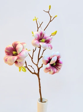 木棉花玉兰花仿真花3D打印