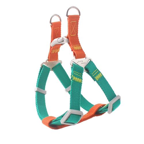 Ставитель для собак и спины