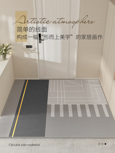 轻奢入户门进门地垫家用玄关现代高档地毯客厅门口吸水定制脚垫子 - 图1