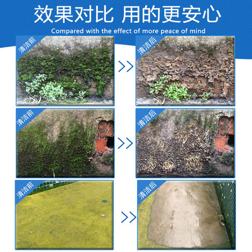 青苔专用去除剂克星水泥地面强力房屋苔藓清除剂水池绿藻类青苔净 - 图0