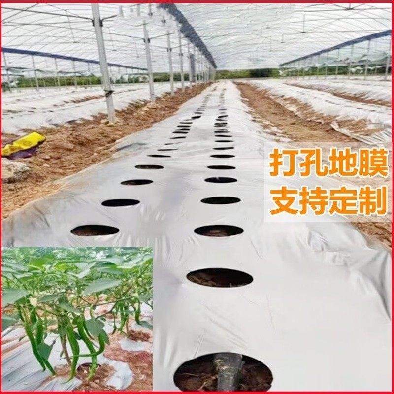 银黑双色反光开孔打孔地膜蔬菜药材不长草莓专用带孔地膜定制打孔,淘宝优惠券,粉丝福利购,淘宝优惠卷