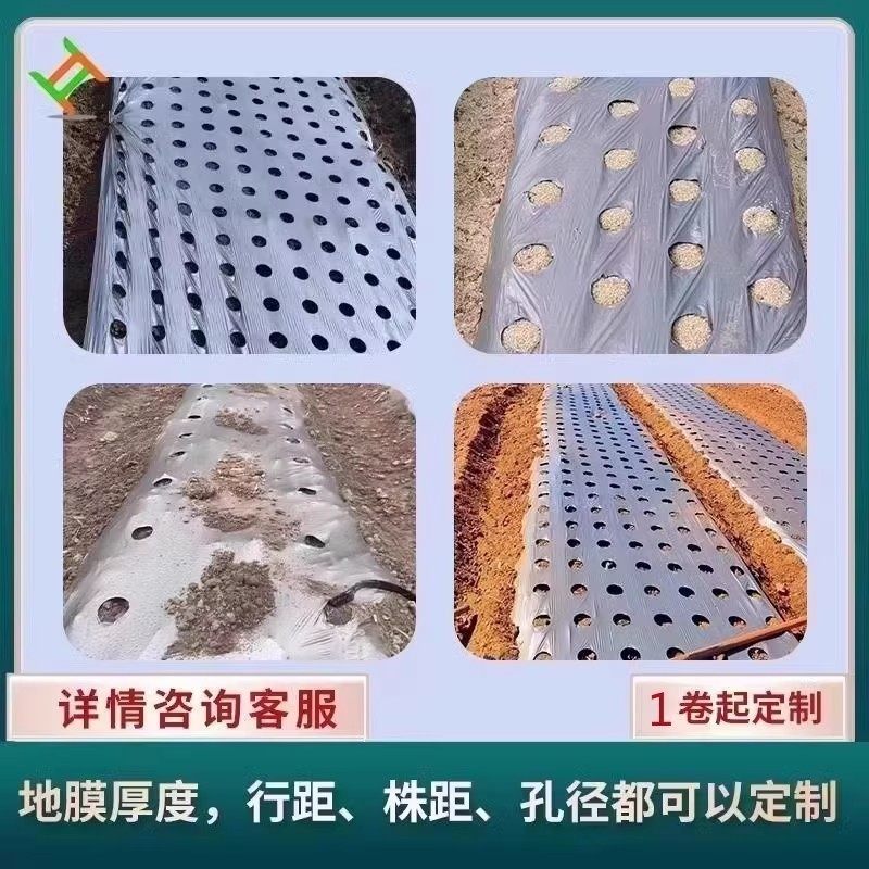 银黑双色反光开孔打孔地膜蔬菜药材不长草莓专用带孔地膜定制打孔,淘宝优惠券,粉丝福利购,淘宝优惠卷