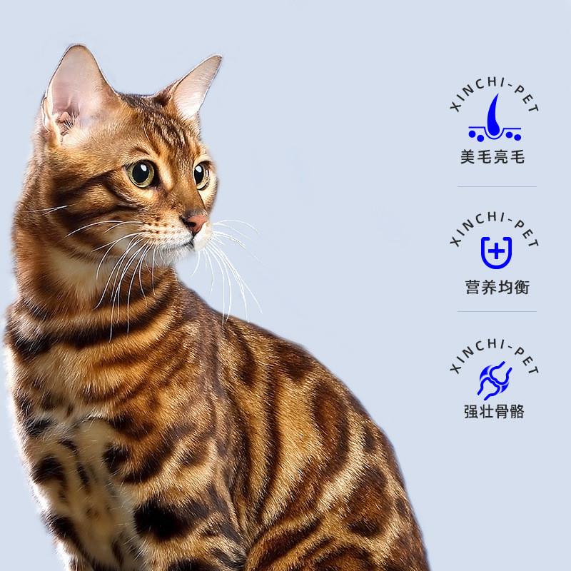 宠物鱼油胶囊60粒/瓶猫咪狗狗专用鱼油美毛亮毛深海鱼油