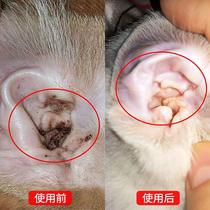 Pets Kitty Dogs Ear Mites Ear Oil Drops Ear Oil Ear Oil Otolic Ear Lotion Cat Dog Ear Cleaning Supplies