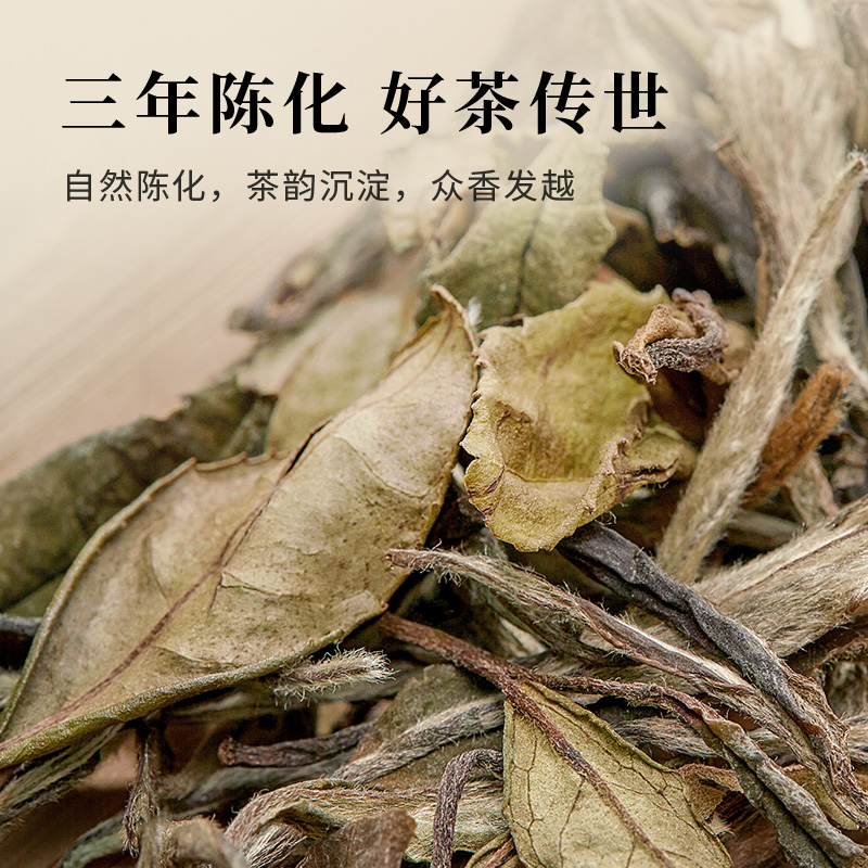 中茶福建白茶守白系列三年陈贡眉白茶散茶罐装100g中粮茶叶-图2