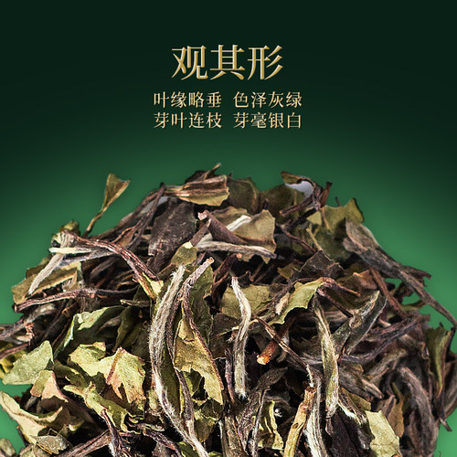 中茶茶叶 福建白茶白牡丹白茶箱装1kg散茶大分量收藏 中茶旗舰店 - 图1