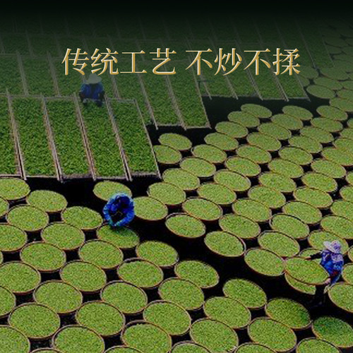 中茶茶叶 福建白茶白牡丹白茶箱装1kg散茶大分量收藏 中茶旗舰店 - 图0