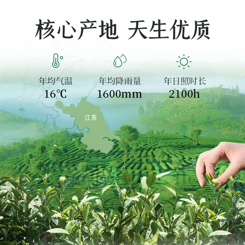 中茶绿茶2024春茶新茶特级碧螺春绿茶茶叶罐装200g中茶官方旗舰店 - 图1