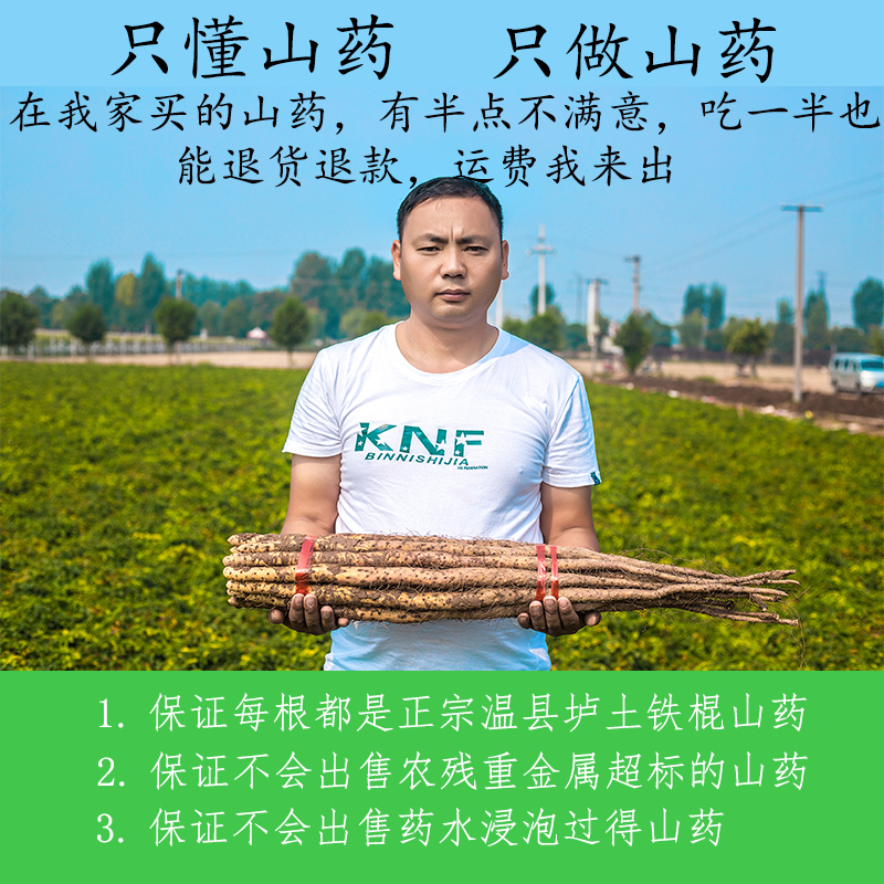 【鲜大叔】河南温县垆土铁棍怀山药焦作现挖55cm宝宝辅食