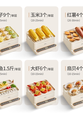 亿德浦电蒸锅家用小型多功能三层