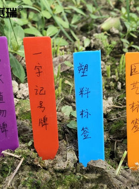安赛瑞一字型加厚PP标签农业塑料插地签花卉植物分类标记牌浅蓝色