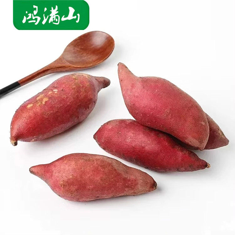 漳州红蜜薯新鲜5六鳌地瓜 鸿满山番薯