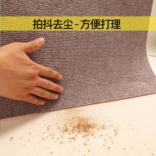 入户除尘地毯入户门地垫免洗可裁剪防滑门垫进门门口卧室家用脚垫 - 图2