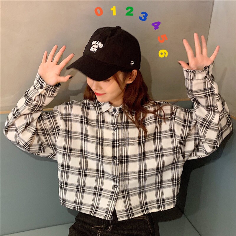 两件套显瘦春秋季新款韩版内搭衬衫 垂文衬衫